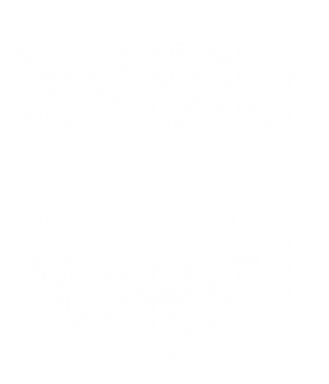 pizazz-white-sparkle-logo-lined-48x48